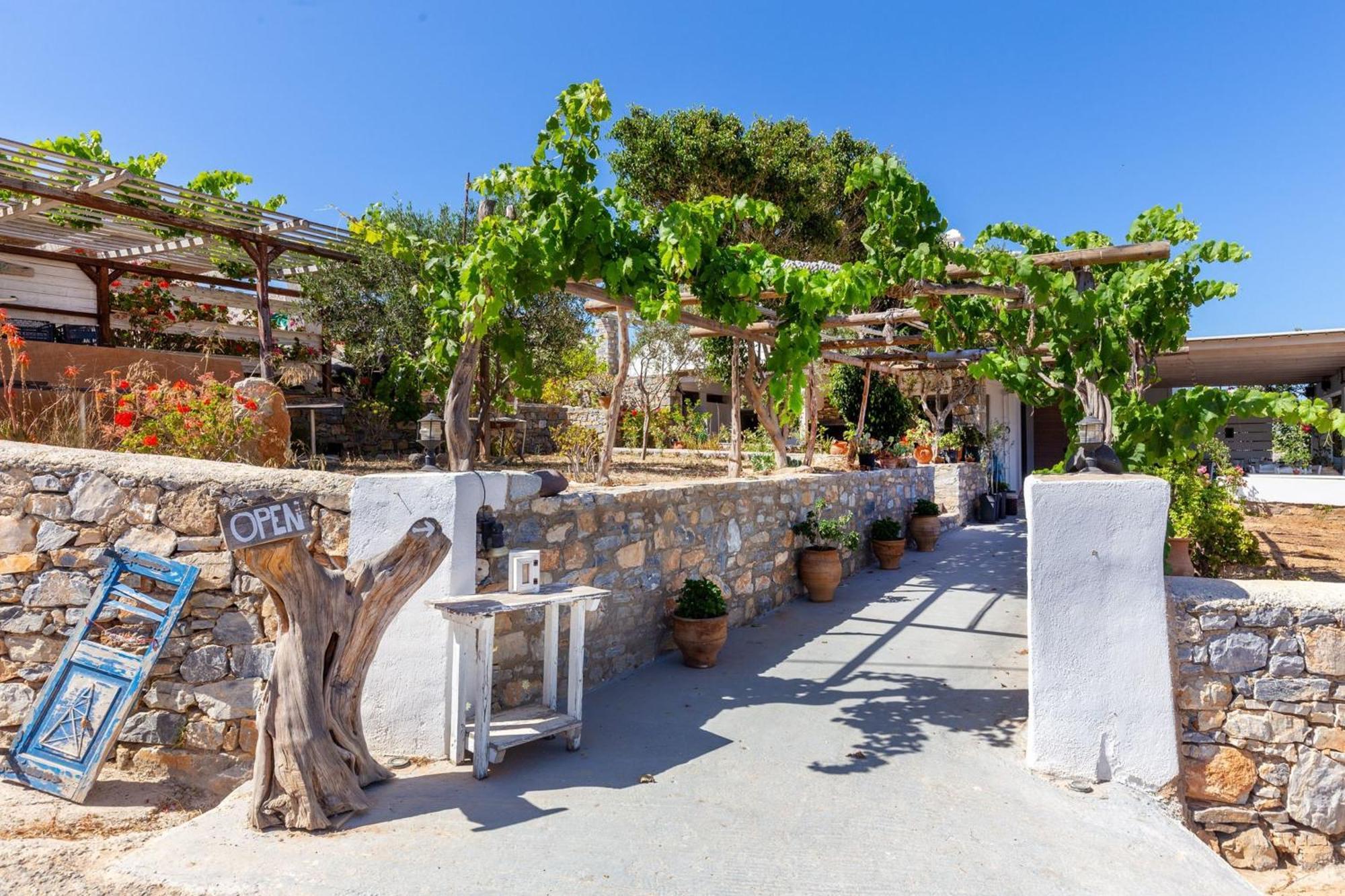 Schoinoussa Harama Hotel Schinousa מראה חיצוני תמונה