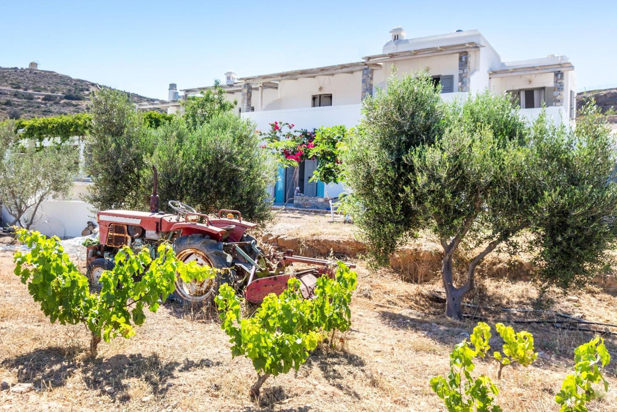 Schoinoussa Harama Hotel Schinousa מראה חיצוני תמונה